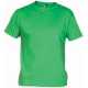 irsky zelené tričko Dogo